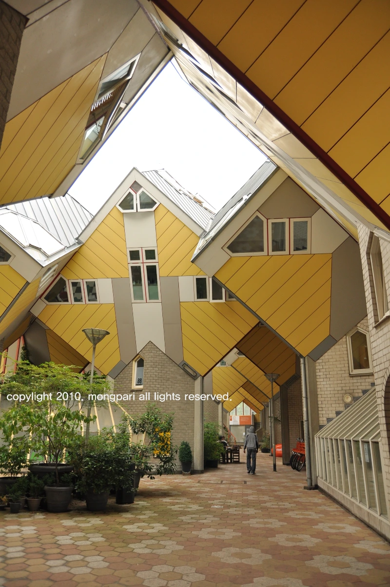 로테르담 (3).JPG