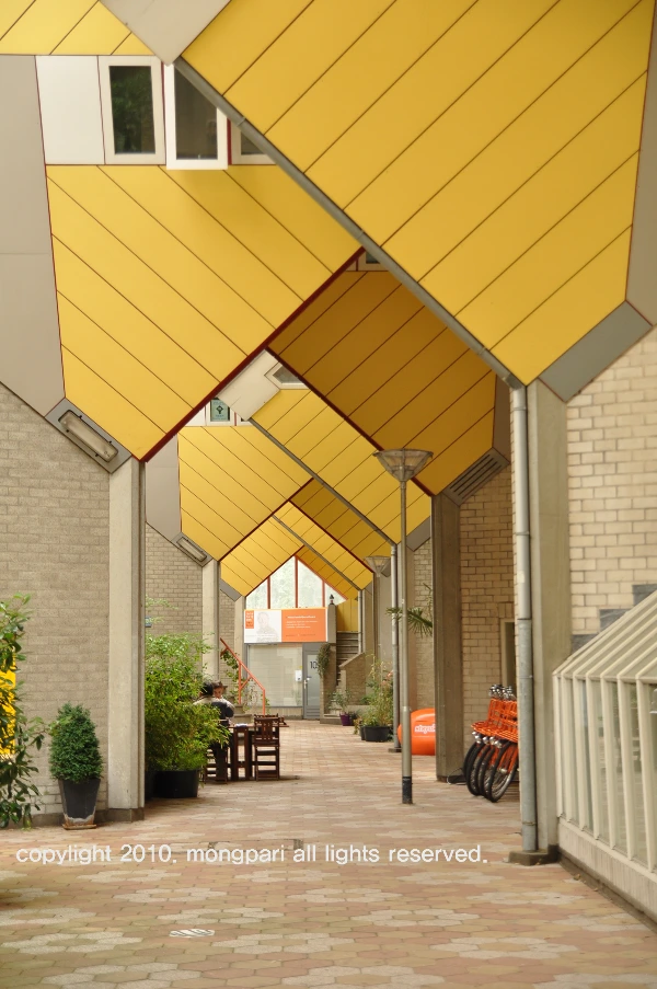 로테르담 (4).JPG