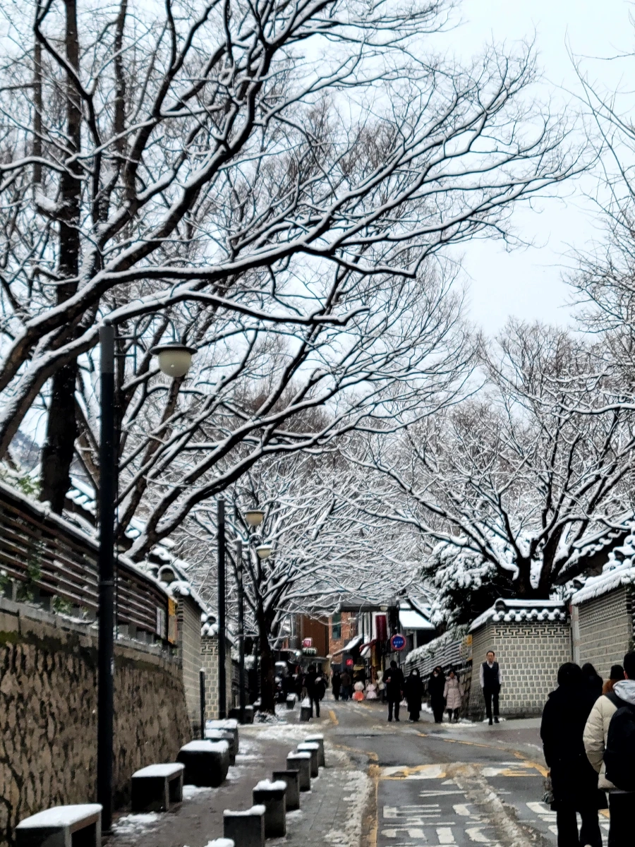 20240222%EF%BC%BF124358.jpg?type=w1