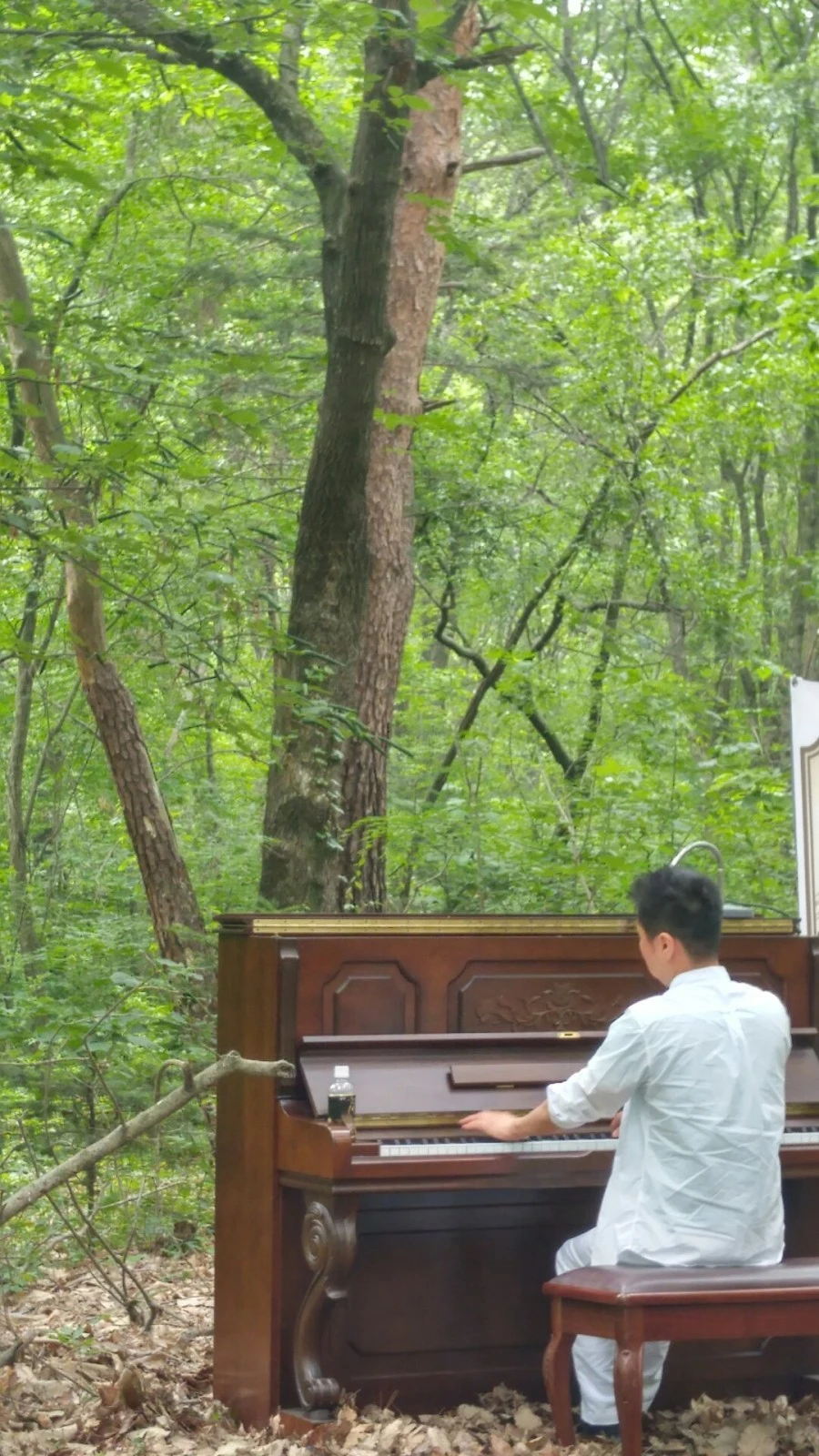 1606835674114.jpg?type=w1