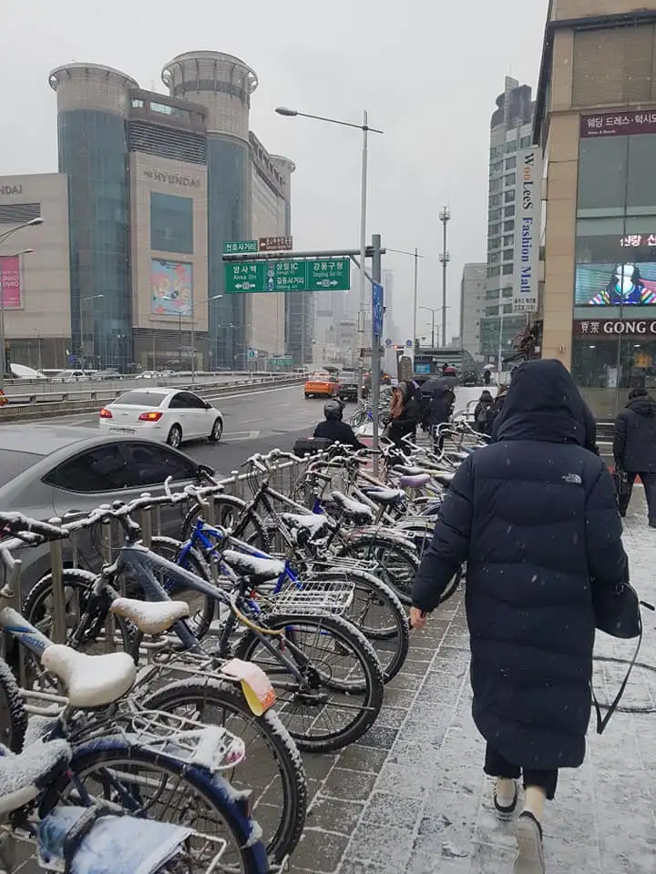 52606036_2143004869114153_1600601820068052992_n.jpg?type=w1