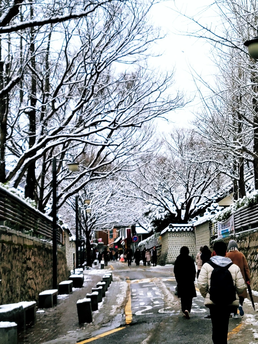 1708582049468.jpg?type=w1