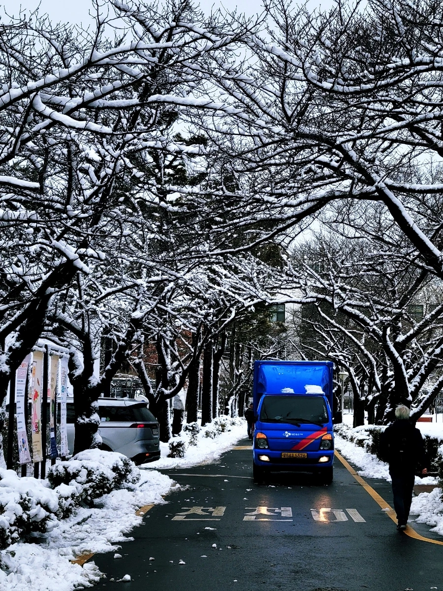 1708582055897.jpg?type=w1