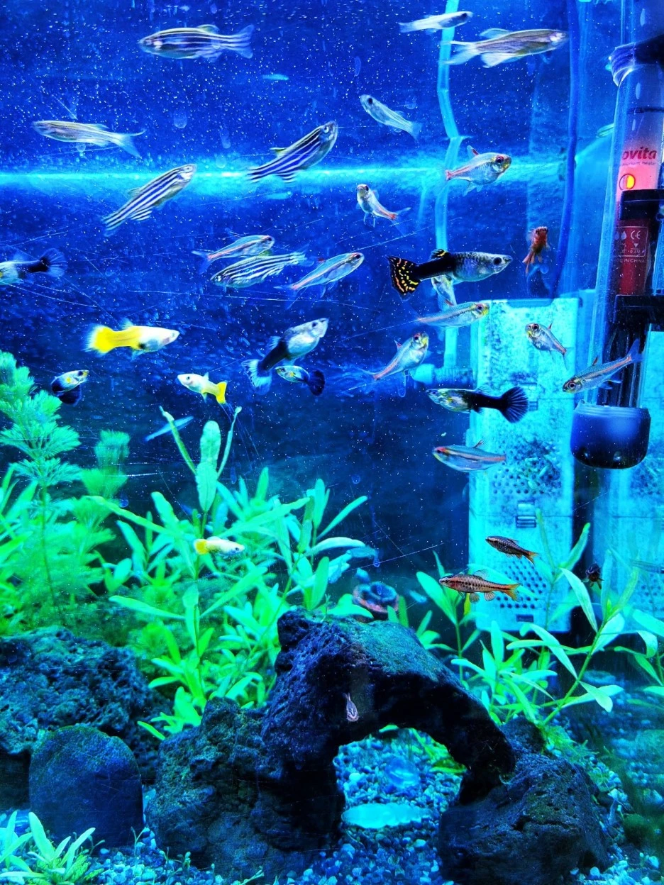 274147535_4929818890432723_4193467956389900506_n.jpg?type=w1