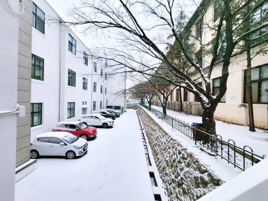 149167959_3779771955437428_4112438350958102149_n.jpg?type=w1