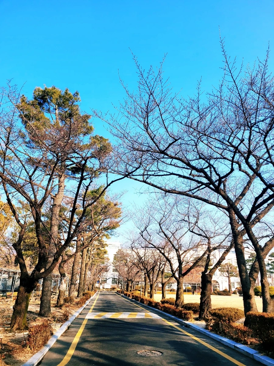 1707364994412.jpg?type=w1