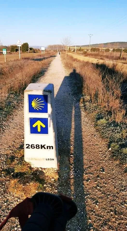 152041972_3793157107432246_2093701378598882304_n.jpg?type=w1