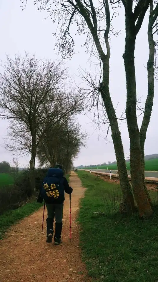 149404980_3779164928831464_8990216701637585641_n.jpg?type=w1