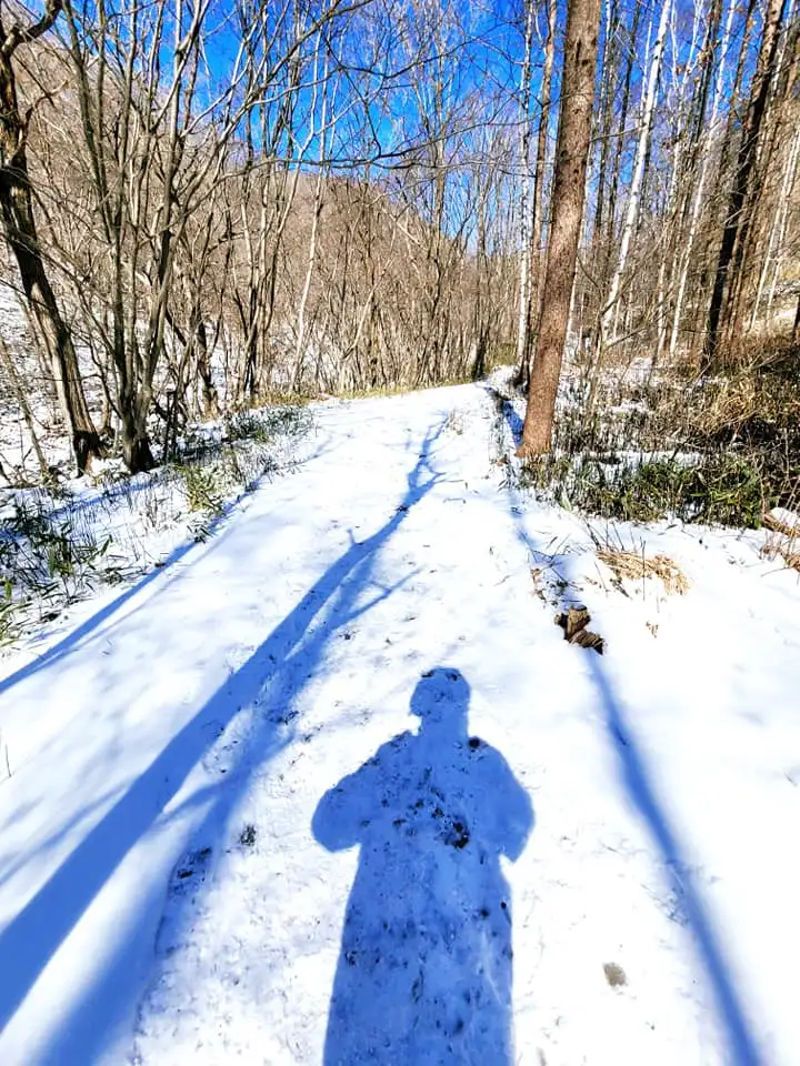 273382088_4911710328910246_6141537308421025933_n.jpg?type=w1