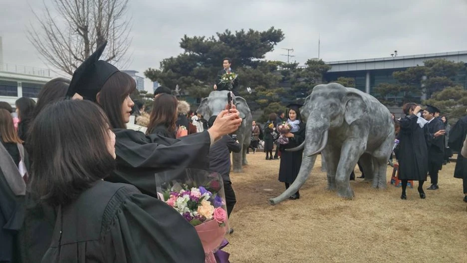 16730249_1283772755037373_1129025413546421870_n.jpg?type=w1