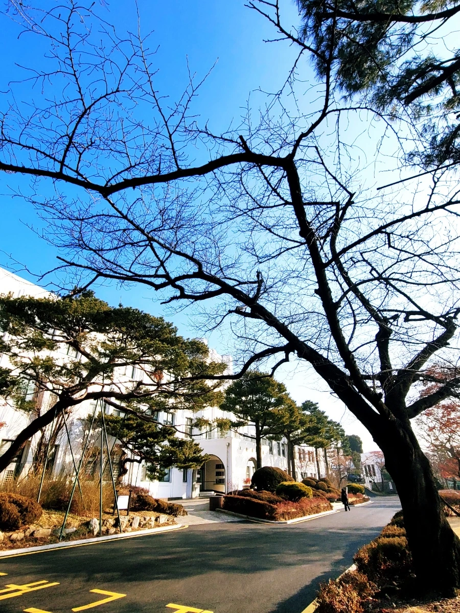 1707364995459.jpg?type=w1