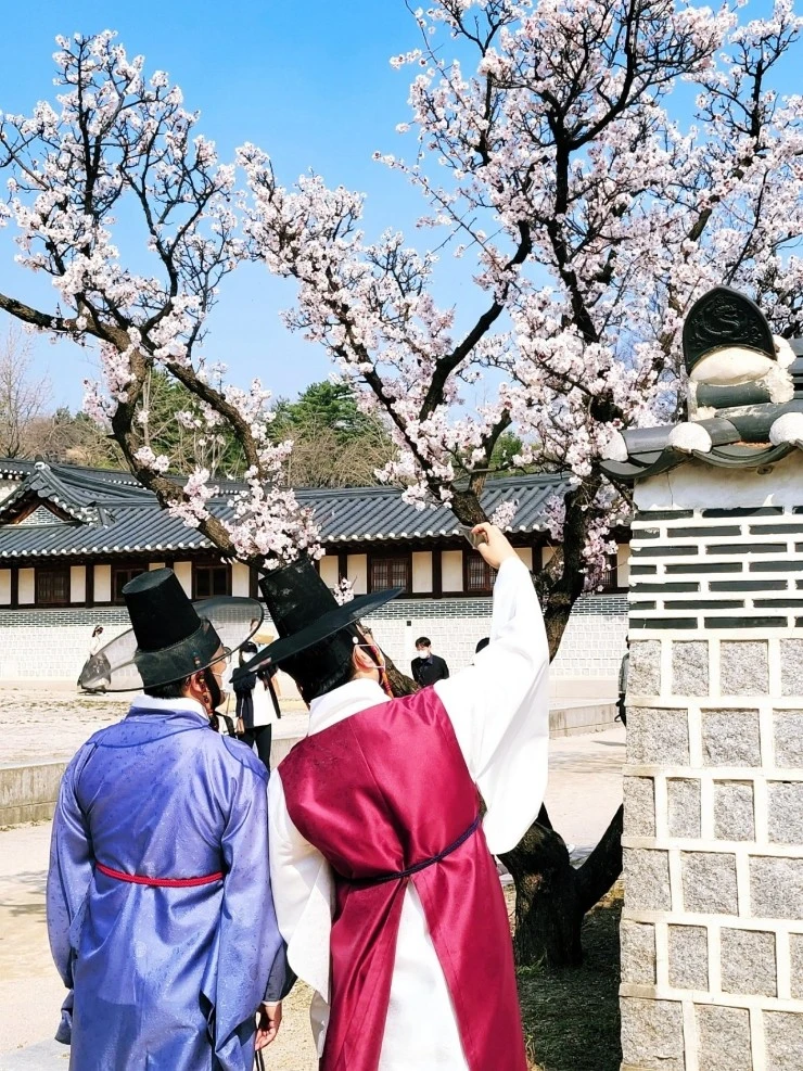 1639241420762.jpg?type=w1