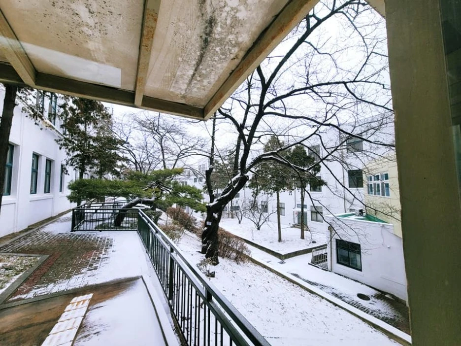 150060706_3779772885437335_8448651308411925393_n.jpg?type=w1