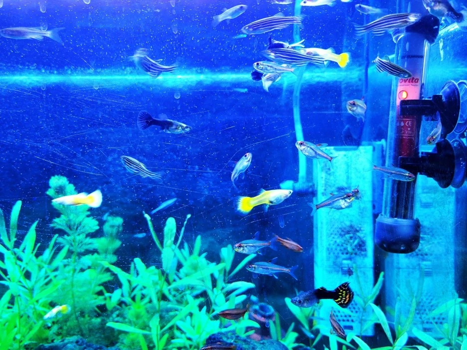 274080961_4929819837099295_9065709182079080445_n.jpg?type=w1