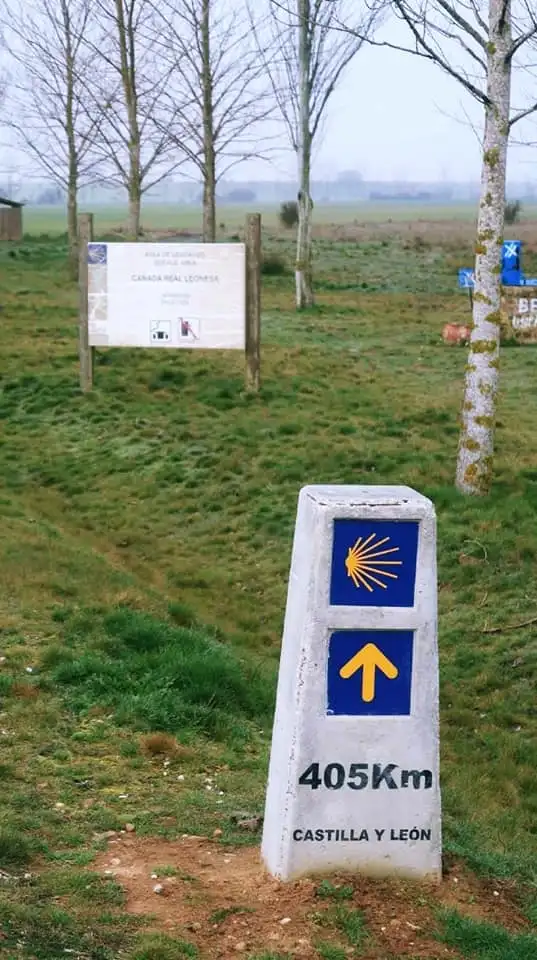 150256976_3779164782164812_3046135200262250620_n.jpg?type=w1