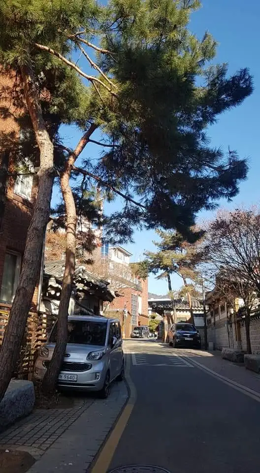 FB%EF%BC%BFIMG%EF%BC%BF1707364116593.jpg?type=w1