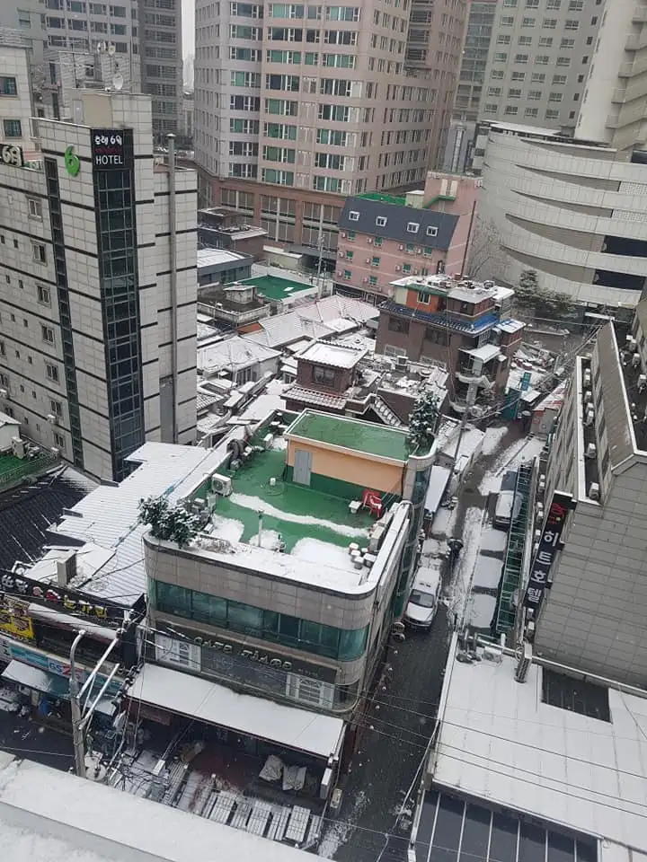 51919812_2143005835780723_102501005131776000_n.jpg?type=w1