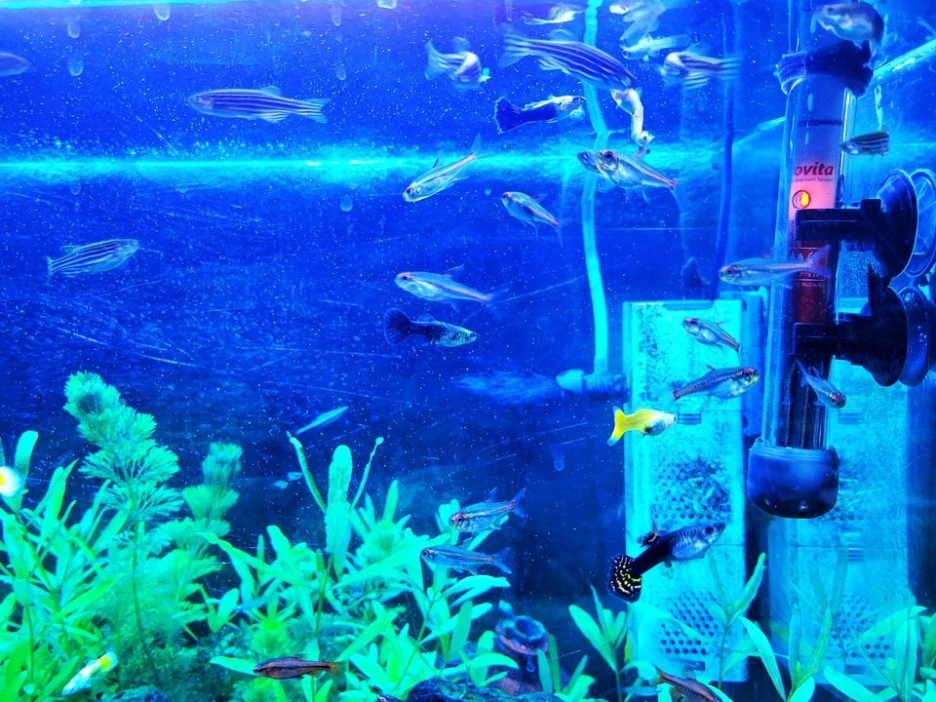 273948674_4929819227099356_4209595013947633048_n.jpg?type=w1