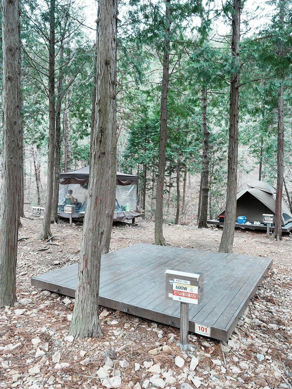 캠핑장4.JPG