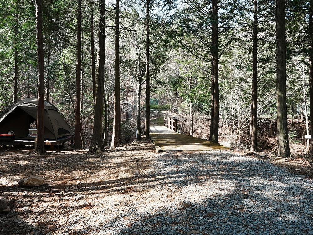 캠핑장3.JPG