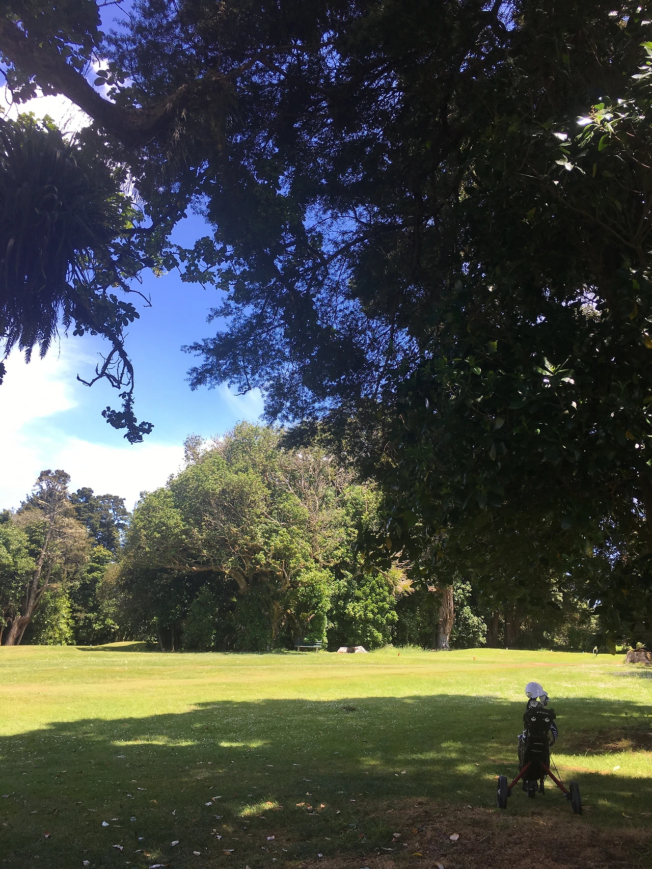 다운로드 (1).jfif