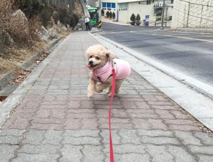 7. 집에 가자!.JPG