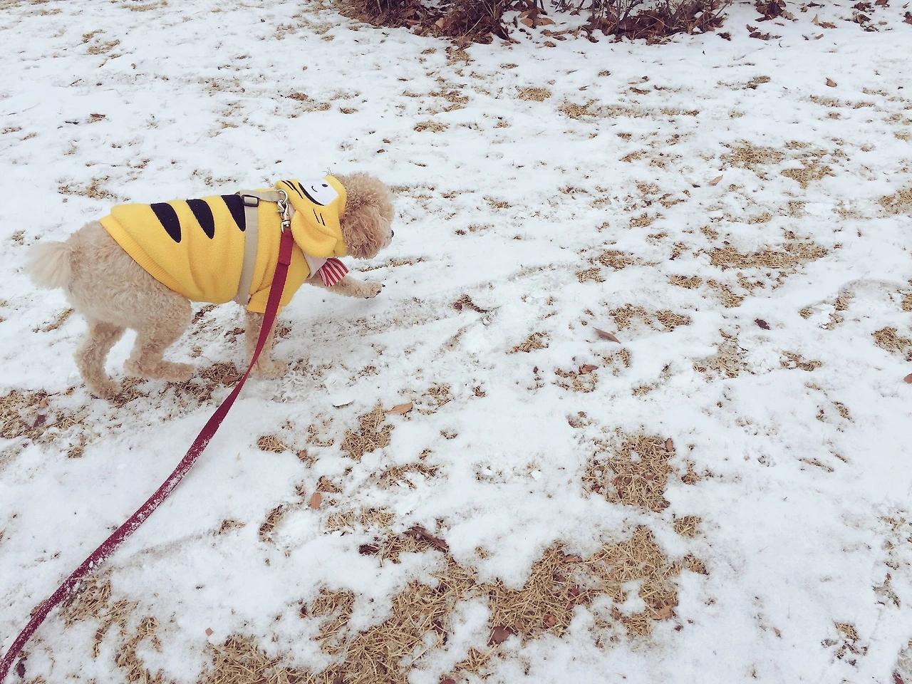 2. 추워도 씩씩하게.JPG