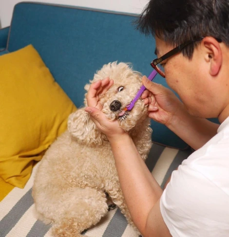 3. 양치는 너무 힘들어.JPG