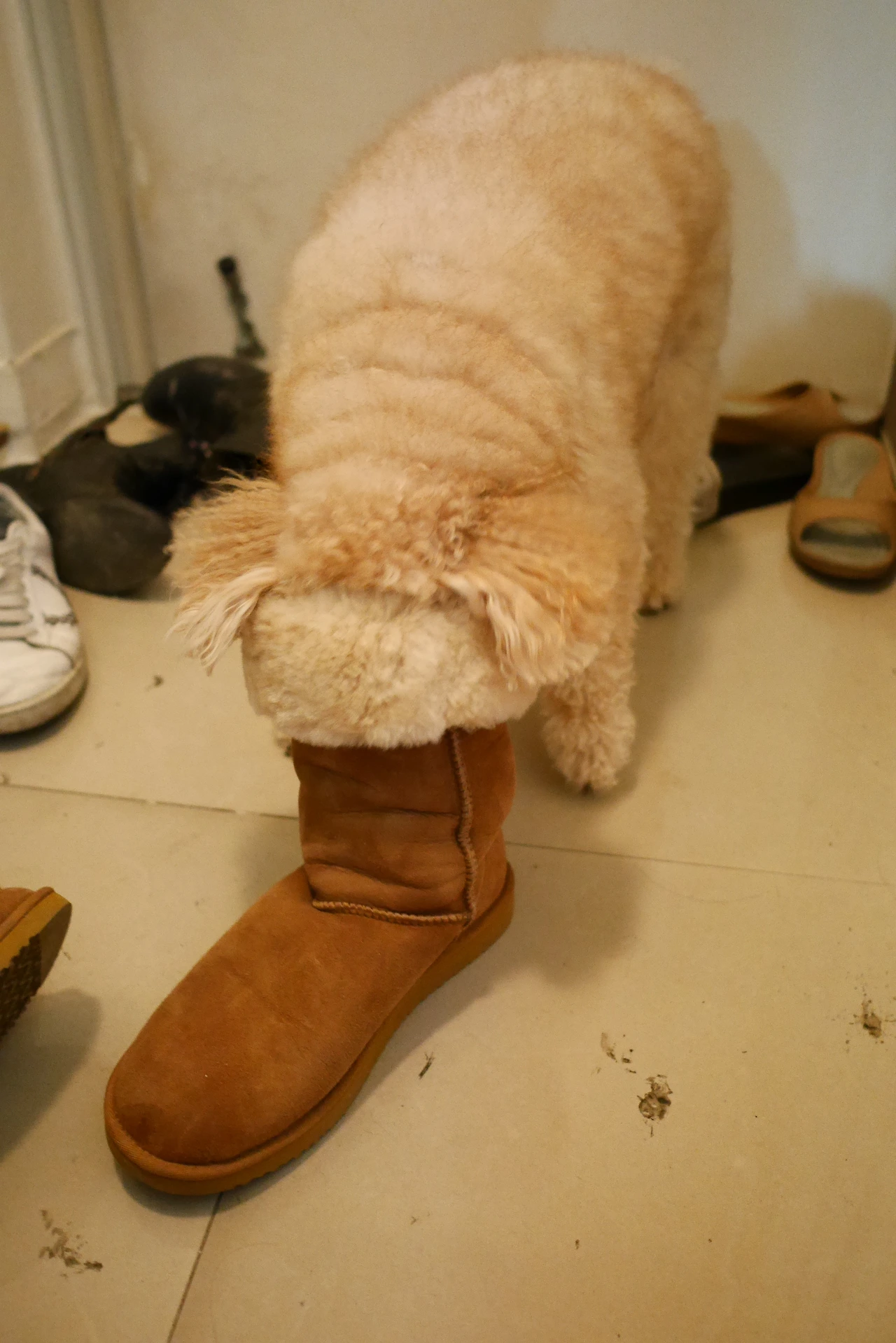 0. 엄마 빨리 나가자 아무리 추워도 밖에 나가고 싶어.JPG