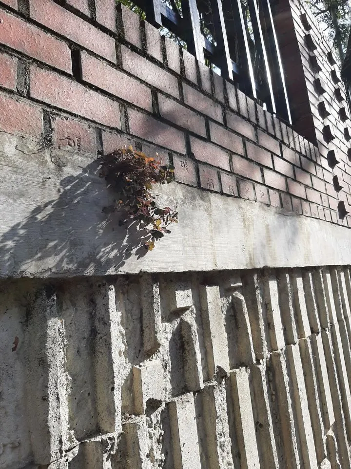 5ab9af34781fc6891269c0e64949fde1a23d9f90