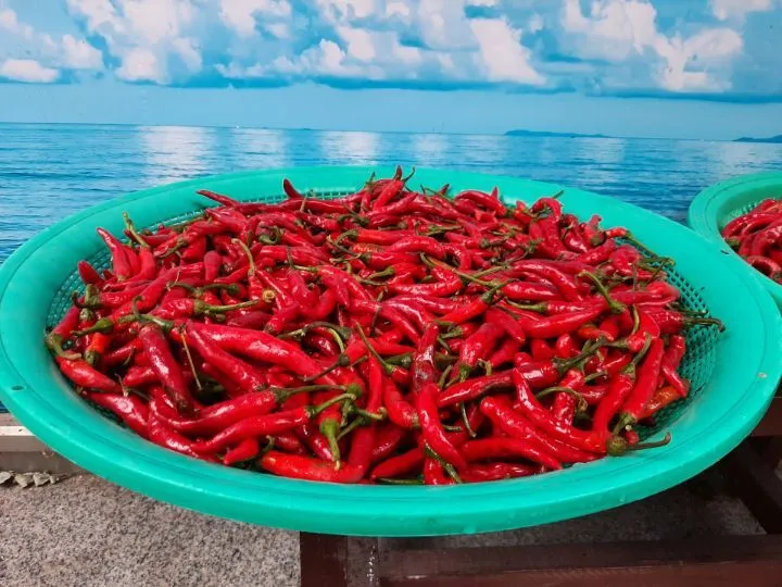 fa8d76b6b19b9ace86e9e3c9f880b396117e8443