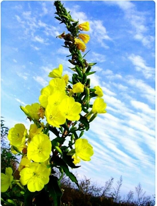 36bc82ad17a5b4eb40d3d0531507b6c444b99a8a