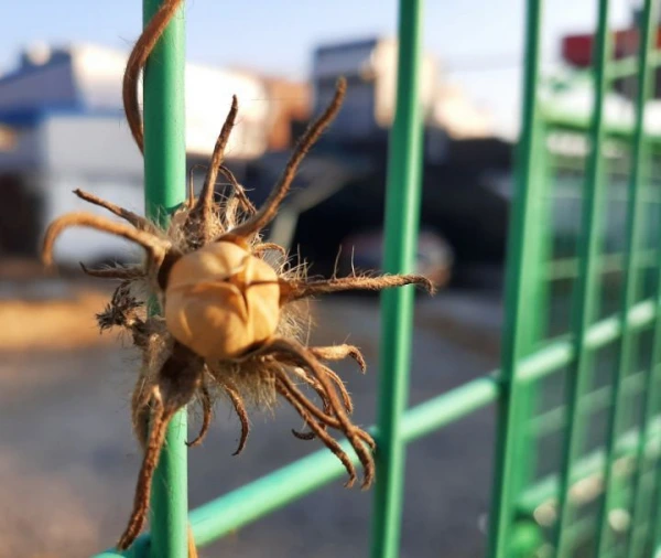 63dd38324c1ac011548d86100673cf9563e73a8c