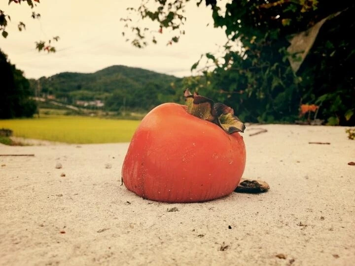 55938271685f7c109994e72682e4dcfb16cad4f1