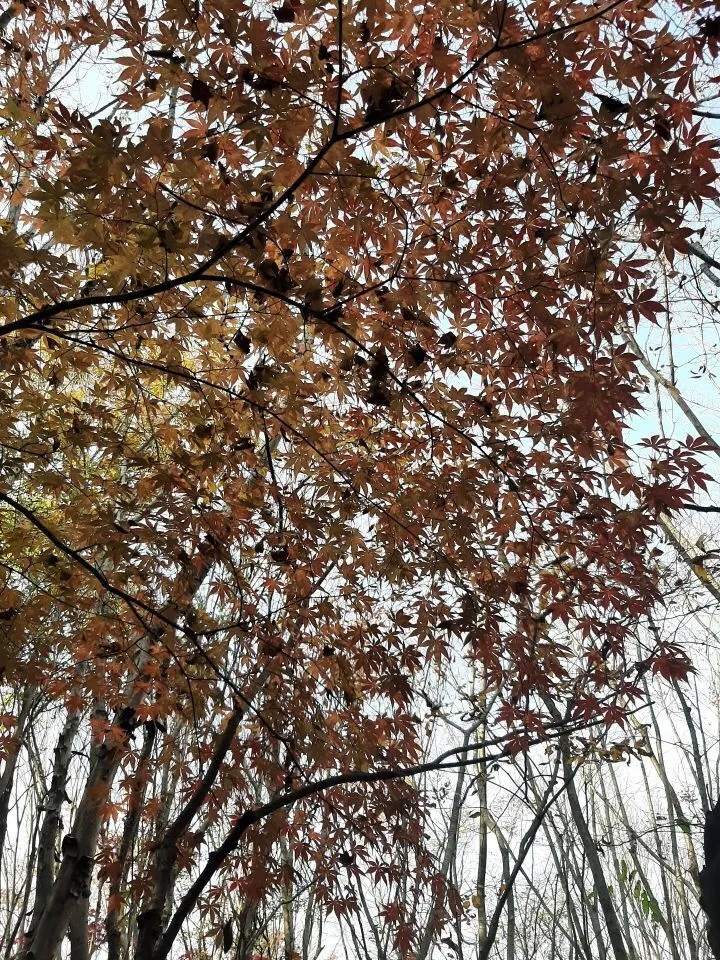 9c840307e91d21cf6cec4814732a7f94336256fa