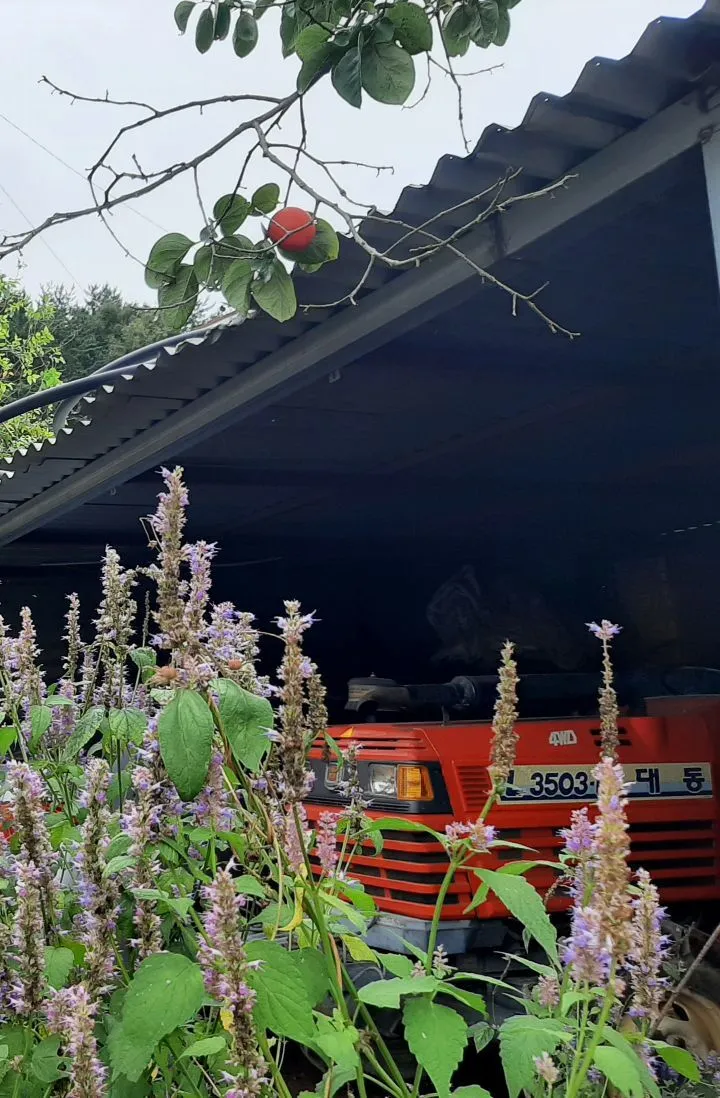 0af460fb4df33e2d9d05f58535033cf3b593a78d