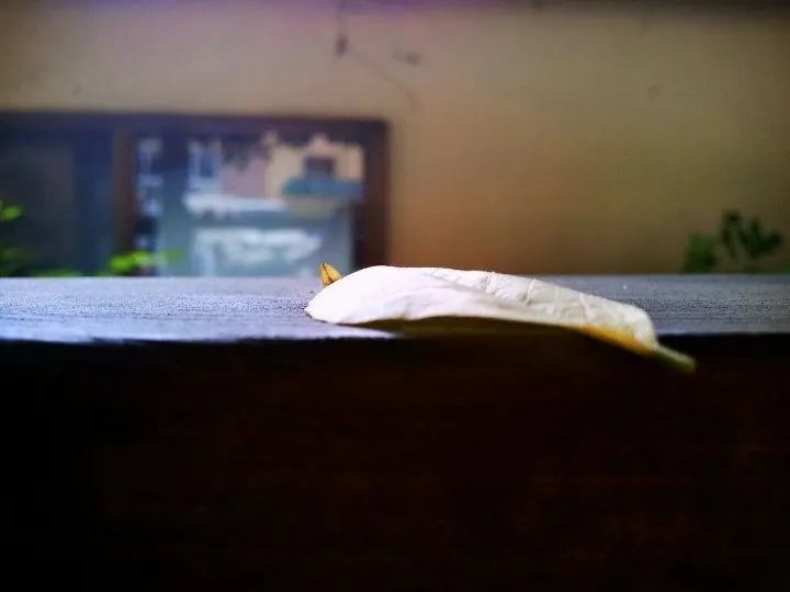 ff540a9f5e4e4bf2de3aa8ad039d449976b98443_re_1671030406235