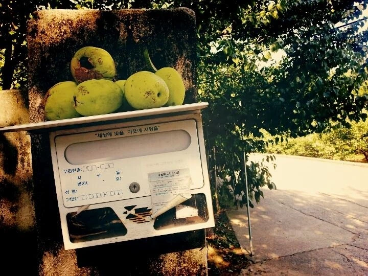 97418ab030a6236e42587f9a72d8ac1b74da4c85