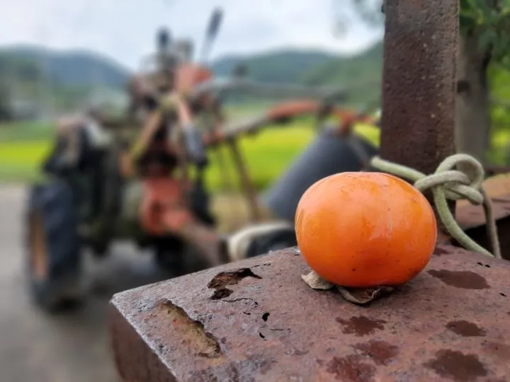 a82bbc712ce8bdd9f5a8f20a58708a2a4dc9213d