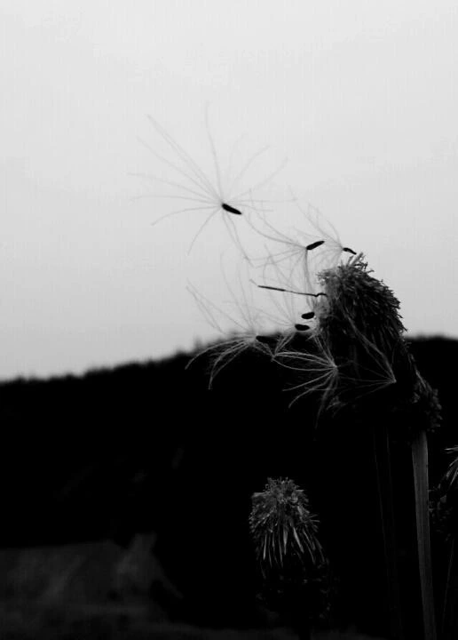 d7778a60818bb82cfe776db77bd428f40db6f20f