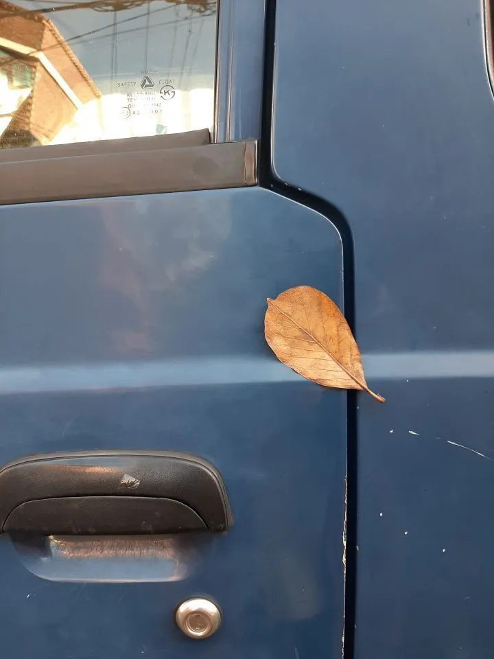 7da9d69a7104f2b8e77817f632d107ef23f75788_re_1671030106605