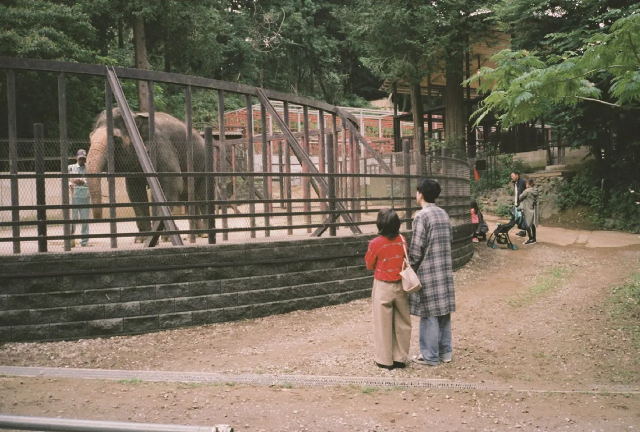 vKd1fu8IlbkcHvWvTUAokw.jpg?jwt=ZXlKaGJHY2lPaUpJVXpJMU5pSjkuZXlKdmNIUnpJanBiSW1KbklsMHNJbkFpT2lJdmRqRXZiMlpvYXpONVpqUjBZbkp2WW1WemJtRjFNbkFpTENKeElqbzRNQ3dpZHlJNk1Ua3lNSDAuWFlfOHVfbTBOMXI4YzJpaW11aUNqazVEcEpwdWFyNDcwUTc5V1BCaC1Wbw