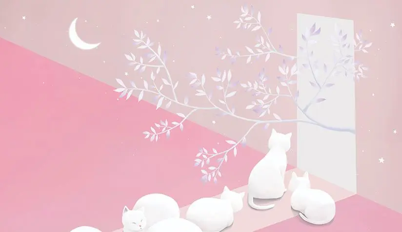 2019-09-19 22;52;58.JPG