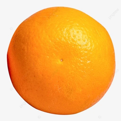 %EB%8B%A4%EC%9A%B4%EB%A1%9C%EB%93%9C.jpg?type=w966