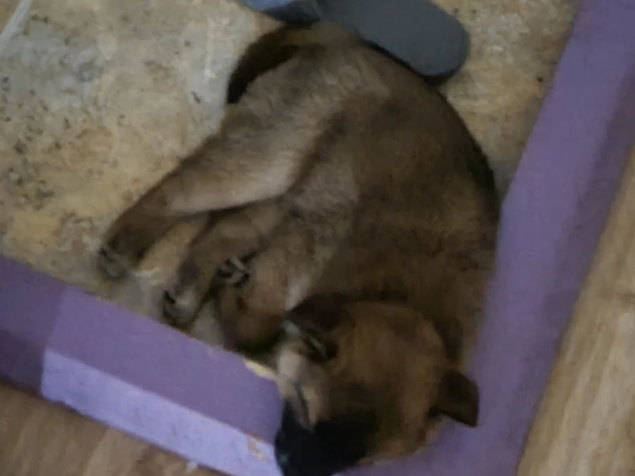 20220403%EF%BC%BF234116.jpg?type=w1