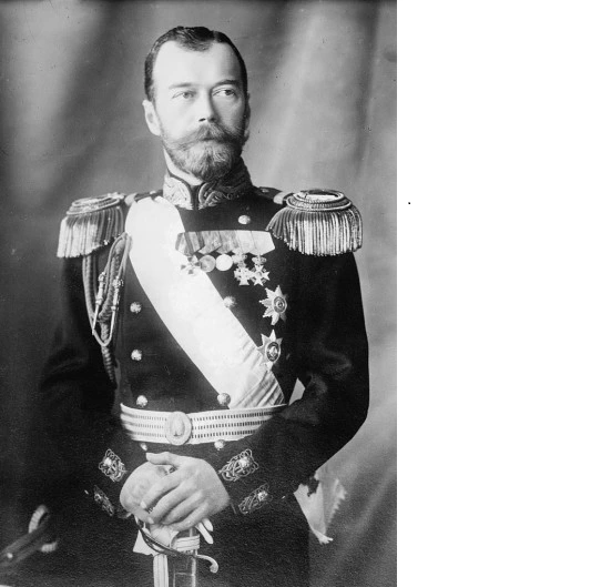 새 비트맵 이미지.bmp