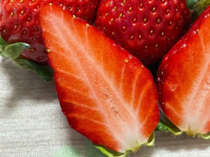 %EB%8B%A4%EC%9A%B4%EB%A1%9C%EB%93%9C_(4).jpg?type=w966