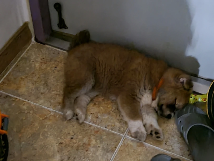 20220403%EF%BC%BF234109.jpg?type=w1