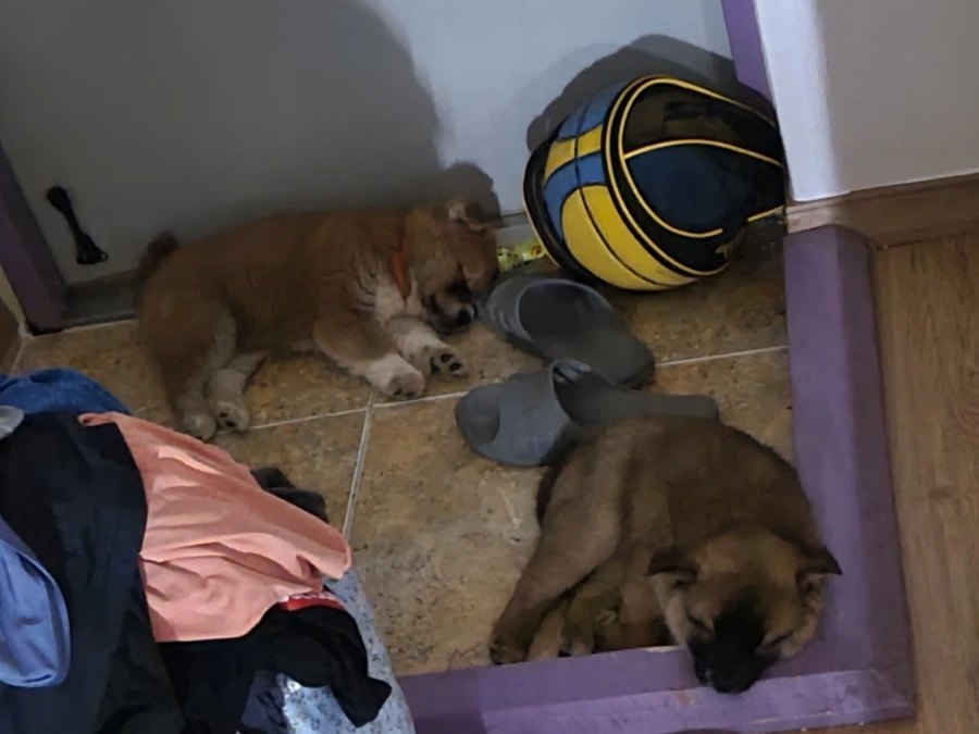 20220403%EF%BC%BF234100.jpg?type=w1