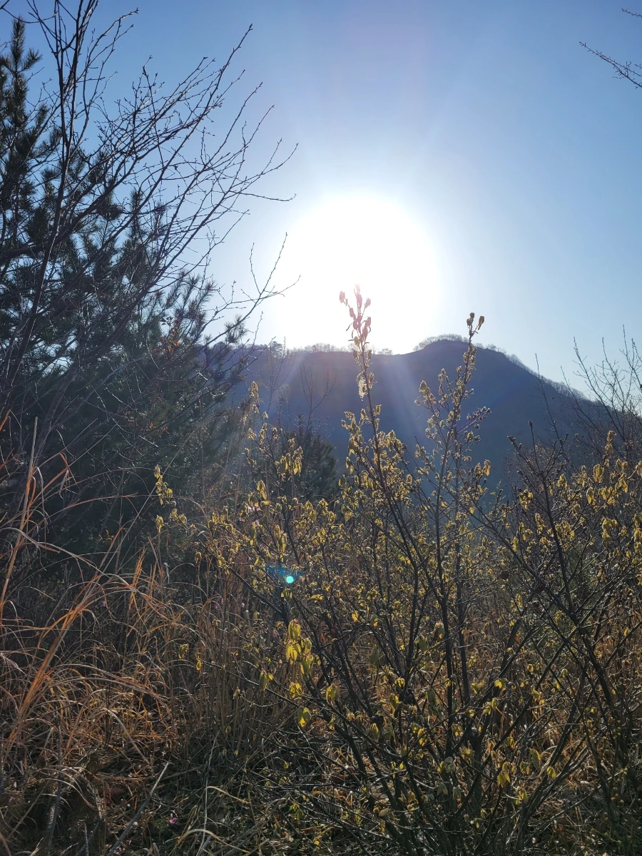 20220404%EF%BC%BF074453.jpg?type=w1